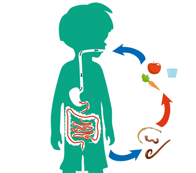 cesty lidské infekce parazity